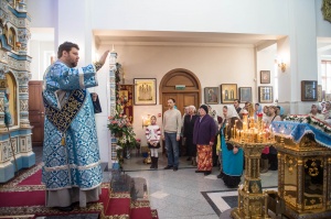 Митрополит Тихон возглавил молебен в честь Казанской иконы Божией Матери