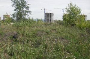 В Новосибирской области 4 археологических памятника на грани уничтожения
