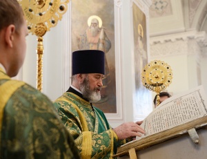 "     ,             " ()