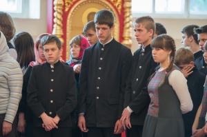  :  ",   ,     , , ,    "