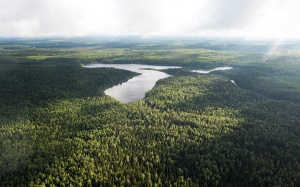 " ,   .      ,   :   ,    !"