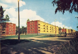    1965 