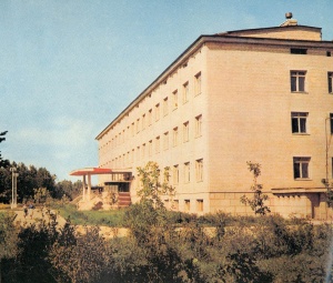    1965 