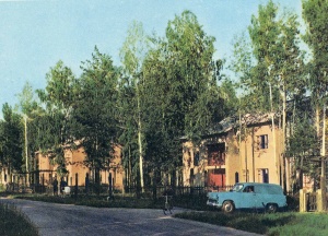    1965 