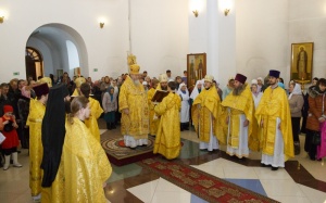 " -    -  ,        "