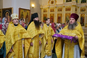 " -    -  ,        "