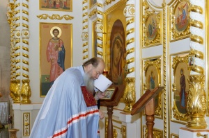 " -    -  ,        "