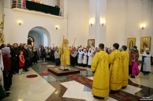 " -    -  ,        "