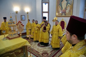 " -    -  ,        "