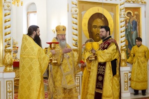 " -    -  ,        "