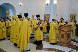 " -    -  ,        "