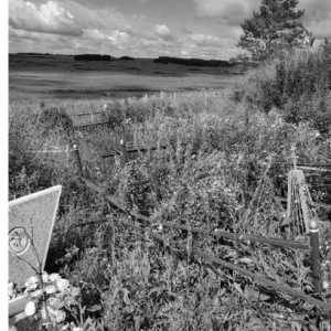 ������� �.�. ������������. ����� 2. �������